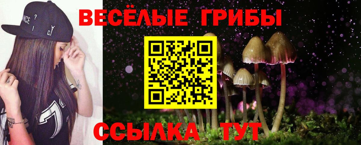 Якутск  Галлюциногенные грибы мицелий  Вход с VPN 