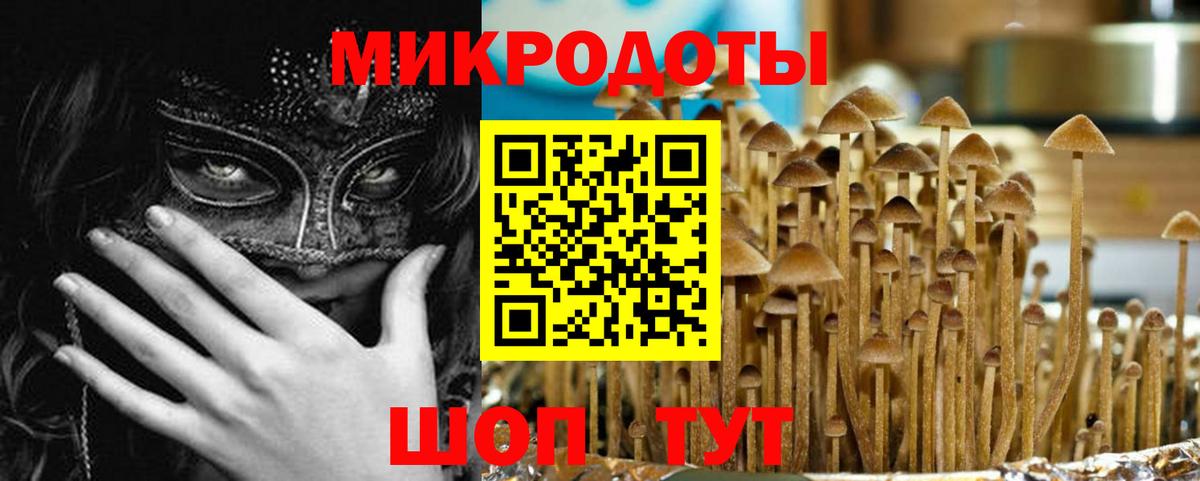 Псилоцибиновые грибы Psilocybine cubensis Якутск